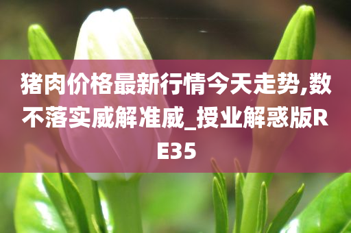 猪肉价格最新行情今天走势,数不落实威解准威_授业解惑版RE35今晚必出三肖2025_2025新澳门精准免费提供·精确判断