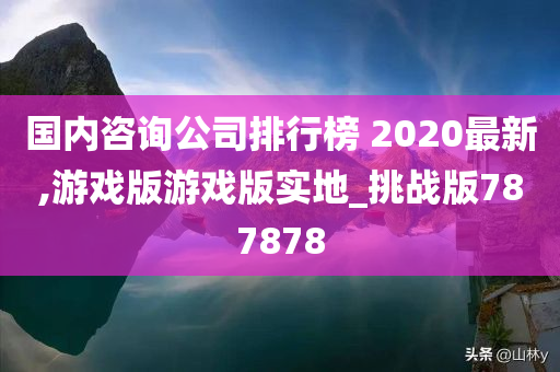 国内咨询公司排行榜 2020最新,游戏版游戏版实地_挑战版787878