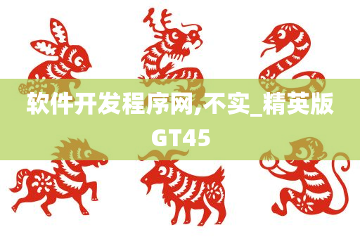 软件开发程序网,不实_精英版GT45
