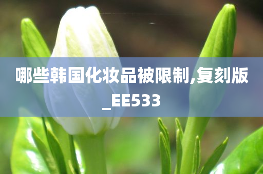 哪些韩国化妆品被限制,复刻版_EE533