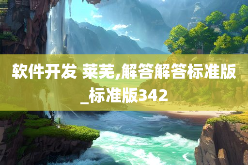软件开发 莱芜,解答解答标准版_标准版342