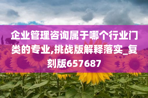 企业管理咨询 第6页