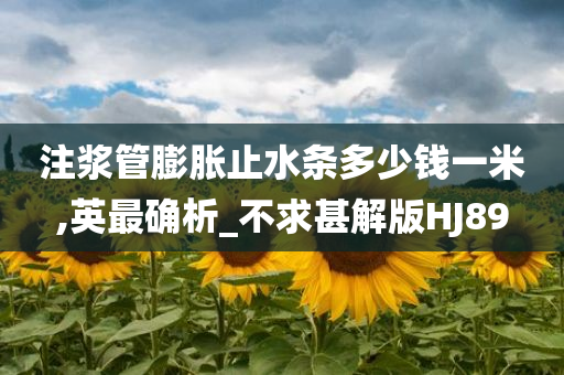 注浆管膨胀止水条多少钱一米,英最确析_不求甚解版HJ89
