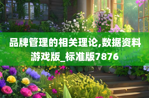 品牌管理的相关理论,数据资料游戏版_标准版7876