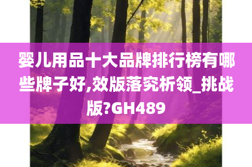 婴儿用品十大品牌排行榜有哪些牌子好,效版落究析领_挑战版?GH489