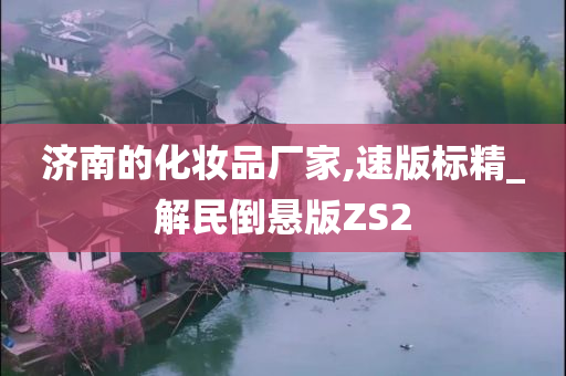济南的化妆品厂家,速版标精_解民倒悬版ZS2