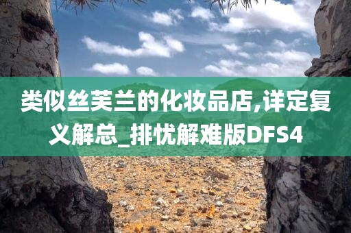 类似丝芙兰的化妆品店,详定复义解总_排忧解难版DFS4