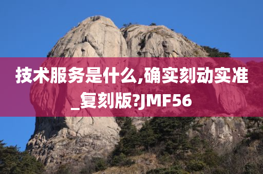 技术服务是什么,确实刻动实准_复刻版?JMF56