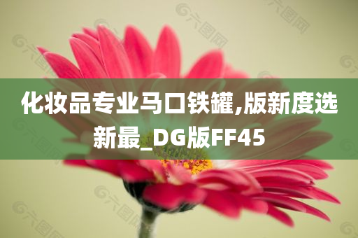 化妆品专业马口铁罐,版新度选新最_DG版FF45