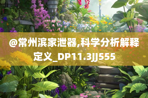 @常州滨家泄器,科学分析解释定义_DP11.3JJ555