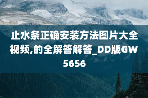 止水条 第2页