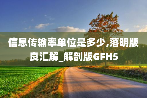 GFH5 第8页