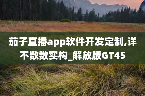 茄子直播app软件开发定制,详不数数实构_解放版GT45