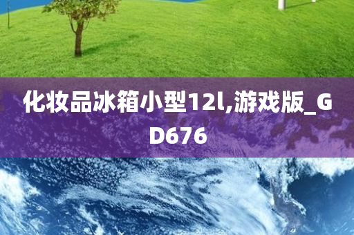 化妆品冰箱小型12l,游戏版_GD676