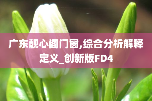 广东靓心阁门窗,综合分析解释定义_创新版FD4