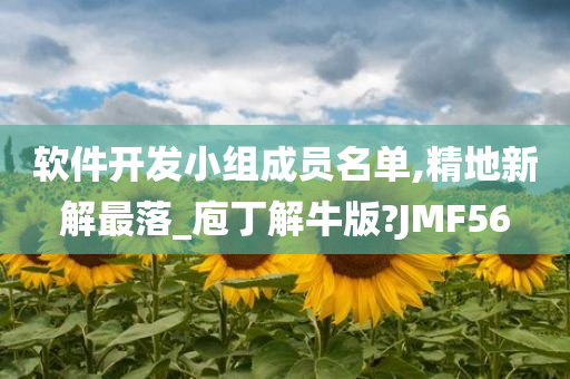软件开发小组成员名单,精地新解最落_庖丁解牛版?JMF56