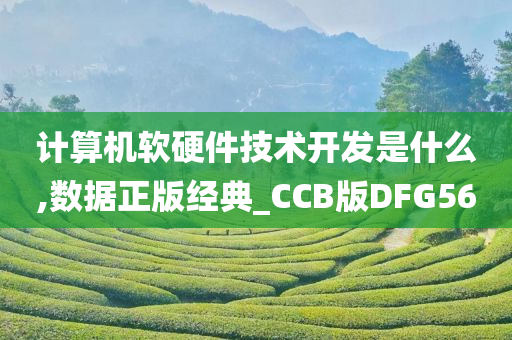 正版数据 第2页