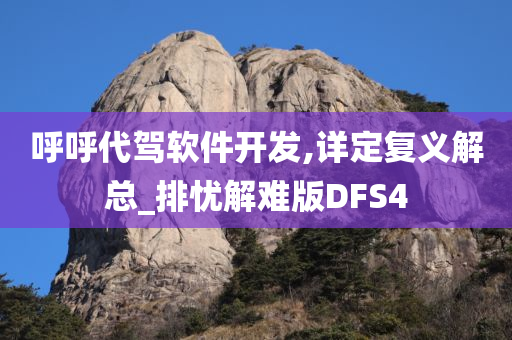 呼呼代驾软件开发,详定复义解总_排忧解难版DFS4
