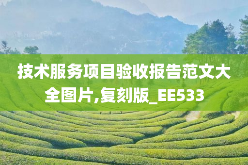 技术服务项目验收报告范文大全图片,复刻版_EE533