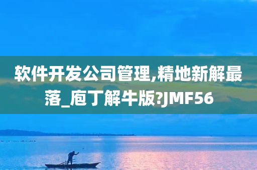 软件开发公司管理,精地新解最落_庖丁解牛版?JMF56