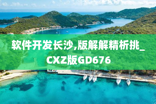 软件开发长沙,版解解精析挑_CXZ版GD676