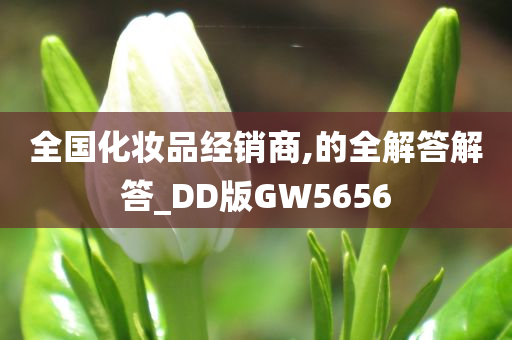 全国化妆品经销商,的全解答解答_DD版GW5656今晚必出三肖2025_2025新澳门精准免费提供·精确判断