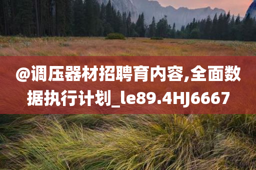 @调压器材招聘育内容,全面数据执行计划_le89.4HJ6667