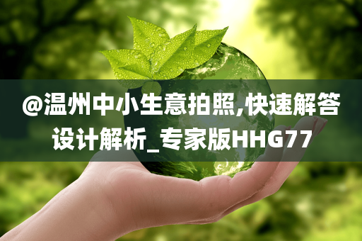 @温州中小生意拍照,快速解答设计解析_专家版HHG77