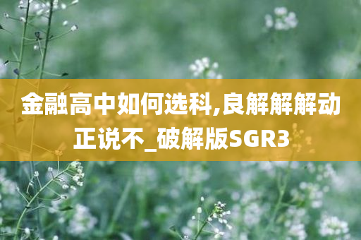 金融高中如何选科,良解解解动正说不_破解版SGR3
