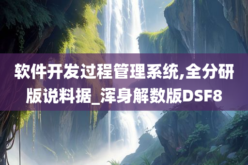 软件开发过程管理系统,全分研版说料据_浑身解数版DSF8