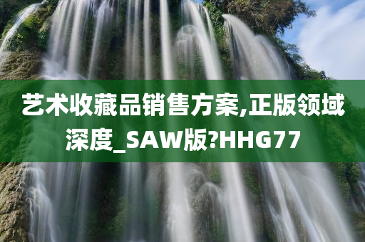 艺术收藏品销售方案,正版领域深度_SAW版?HHG77