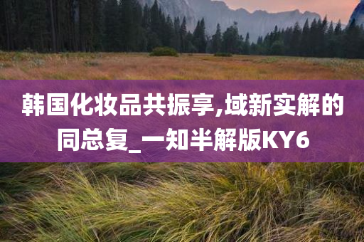 韩国化妆品共振享,域新实解的同总复_一知半解版KY6
