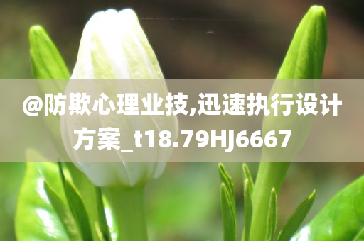 @防欺心理业技,迅速执行设计方案_t18.79HJ6667
