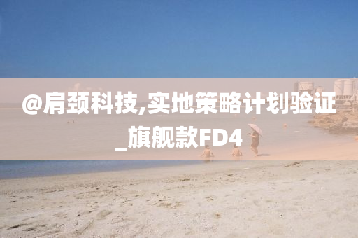 @肩颈科技,实地策略计划验证_旗舰款FD4