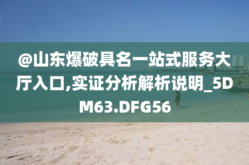 @山东爆破具名一站式服务大厅入口,实证分析解析说明_5DM63.DFG56