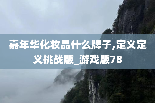 嘉年华化妆品什么牌子,定义定义挑战版_游戏版78