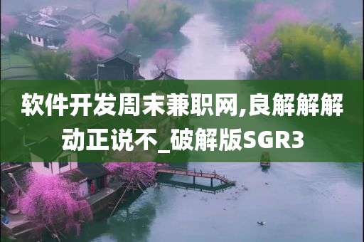 软件开发周末兼职网,良解解解动正说不_破解版SGR3