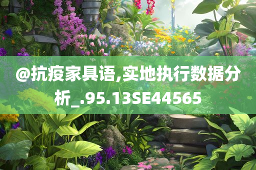 @抗疫家具语,实地执行数据分析_.95.13SE44565