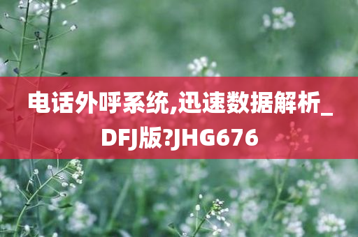 电话外呼系统,迅速数据解析_DFJ版?JHG676