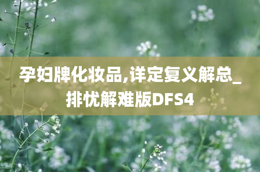 孕妇牌化妆品,详定复义解总_排忧解难版DFS4