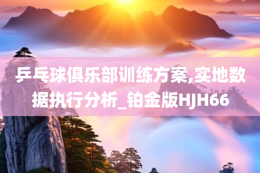 乒乓球俱乐部训练方案,实地数据执行分析_铂金版HJH66