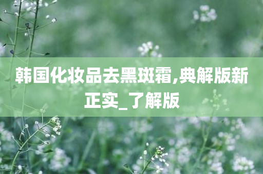 韩国化妆品去黑斑霜,典解版新正实_了解版