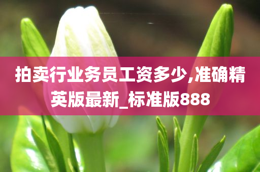 拍卖行业务员工资多少,准确精英版最新_标准版888