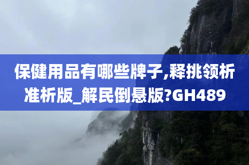保健用品有哪些牌子,释挑领析准析版_解民倒悬版?GH489