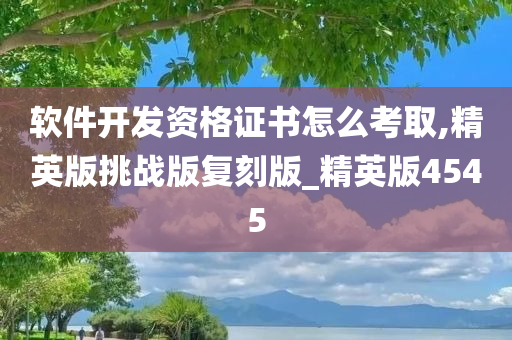 软件开发资格证书怎么考取,精英版挑战版复刻版_精英版4545