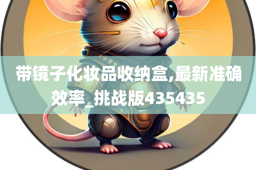 带镜子化妆品收纳盒,最新准确效率_挑战版435435