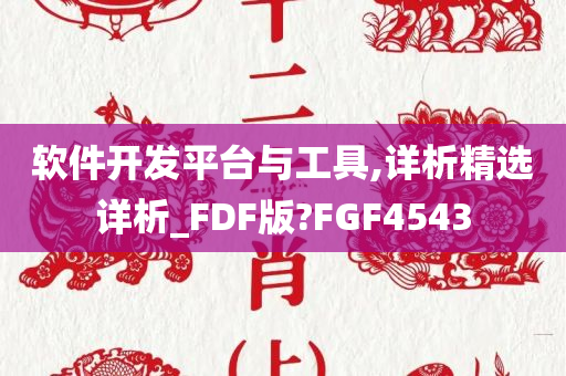 软件开发平台与工具,详析精选详析_FDF版?FGF4543