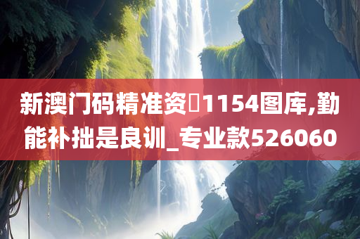 新澳门码精准资枓1154图库,勤能补拙是良训_专业款526060