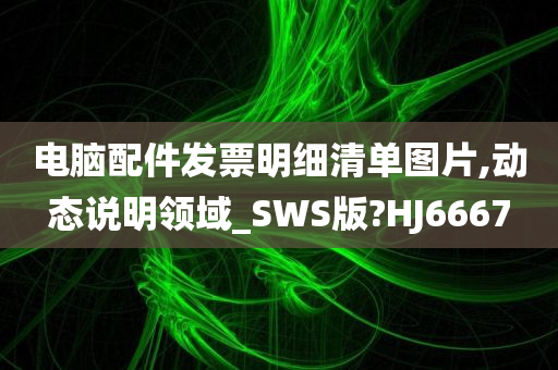 电脑配件发票明细清单图片,动态说明领域_SWS版?HJ6667
