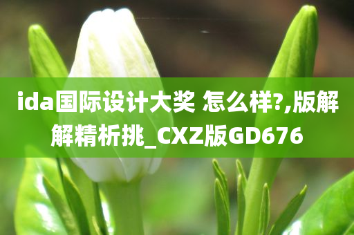 ida国际设计大奖 怎么样?,版解解精析挑_CXZ版GD676